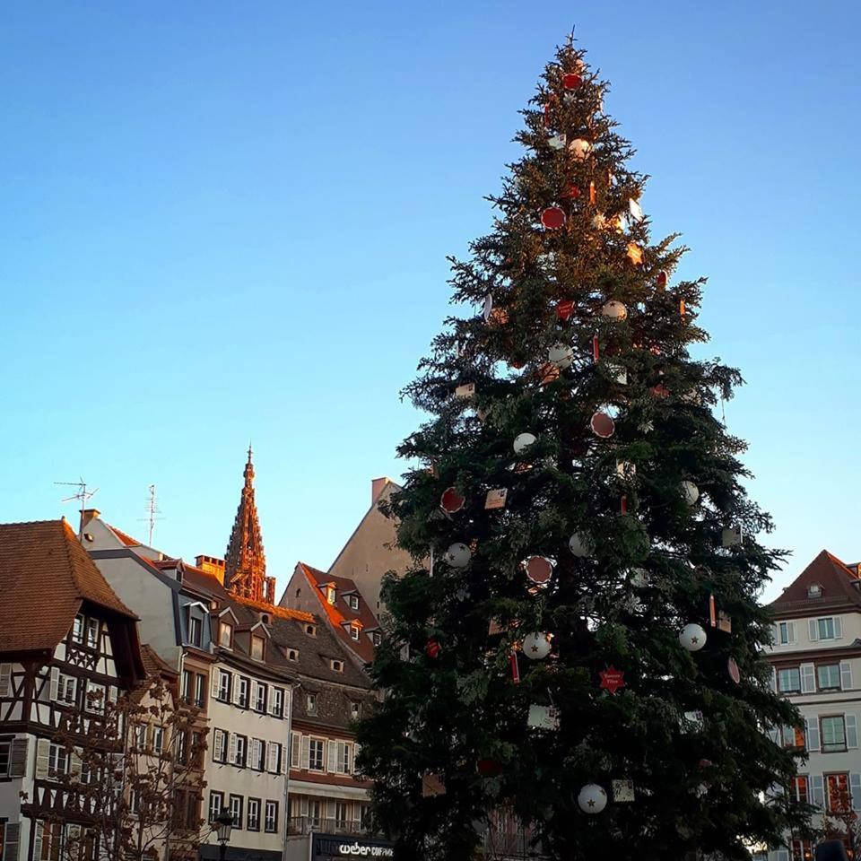 Premiere Classe Strasbourg Sud - Illkirch Exteriör bild